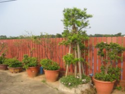 好印象 DIY 仿木圍籬 護欄 欄杆